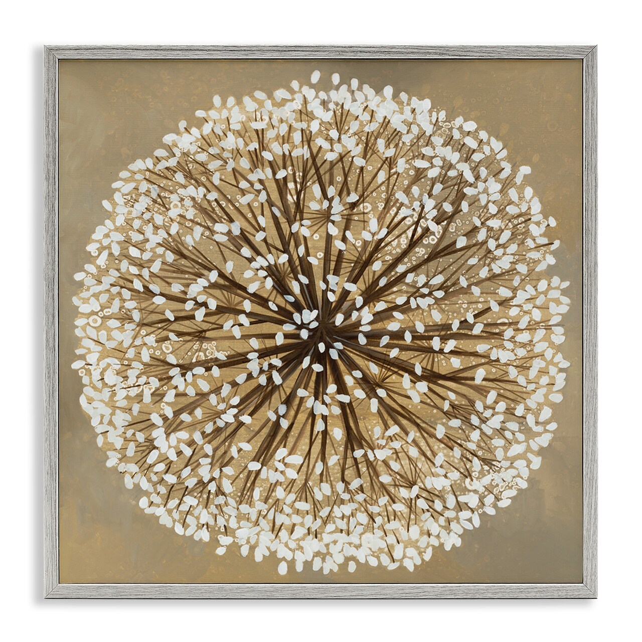 Stupell Industries Abstract Dandelion Flower Full Bloom Framed Giclee Art
